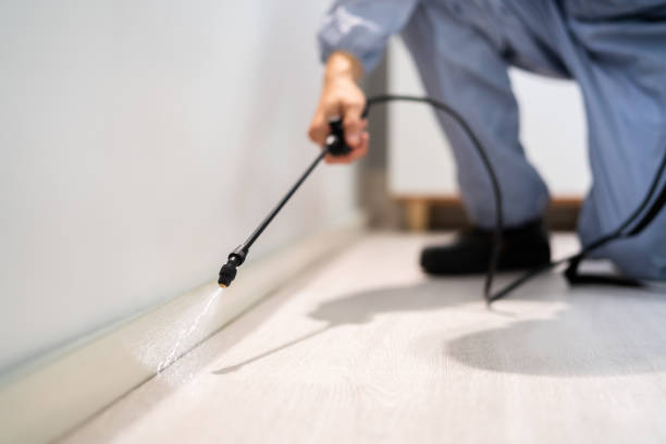 Licensed Cockroach Control service in White Hall, IL - Nex Pest Control