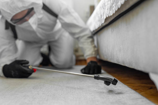 Professional Cockroach Control technician working in White Hall, IL