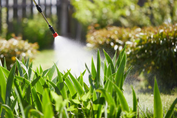 24/7 Emergency Cockroach Control experts in White Hall, IL