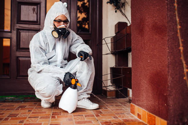 Reliable Cockroach Control contractor in White Hall, IL by Nex Pest Control